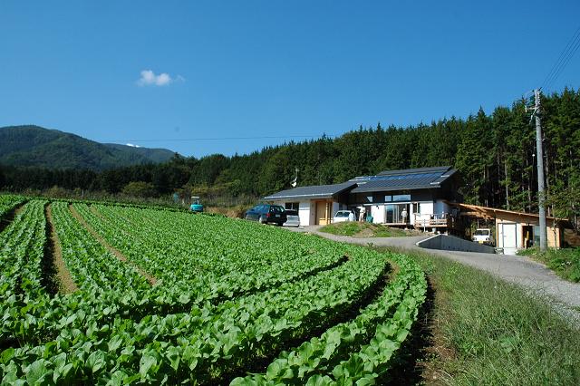 c0084368_11114749.jpg