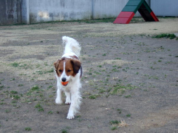 c0075585_13202267.jpg