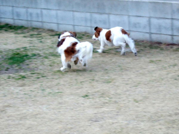 c0075585_132820100.jpg