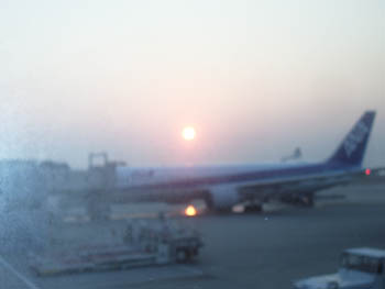 f0118796_1215434.jpg