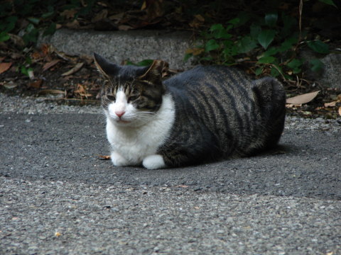 b0017899_234552.jpg