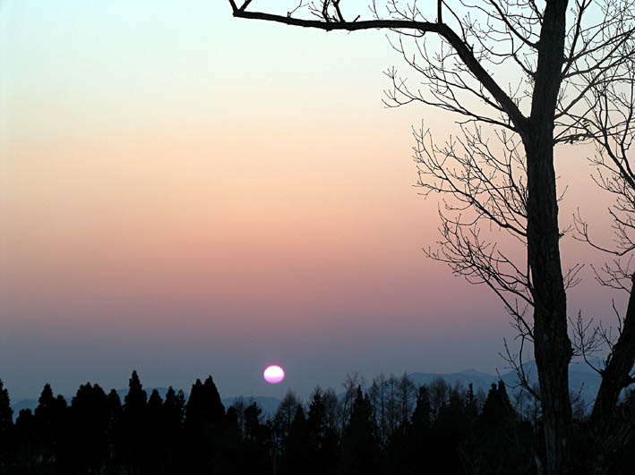 c0078410_1281131.jpg