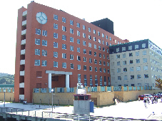 f0090719_10372569.jpg