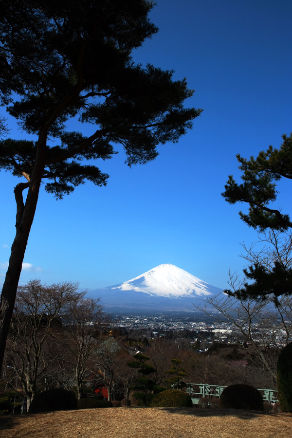 快晴の富士山②_f0035323_99415.jpg