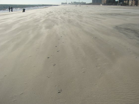 f0032635_15253.jpg