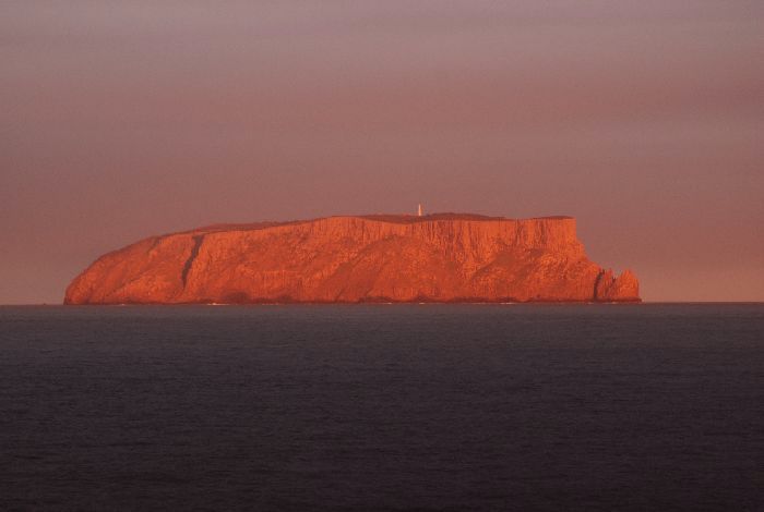 e0098241_143254.jpg