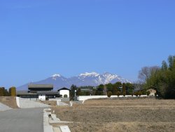 もしかして、もう来てる?_f0019247_2222991.jpg