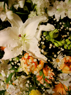 f0041351_1255642.gif