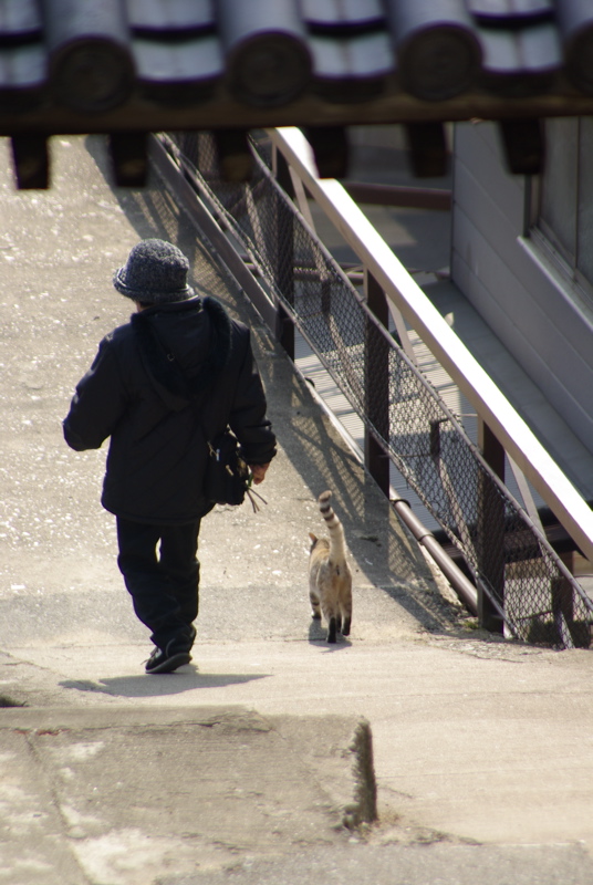 ２月４日　尾道の猫シリーズその３_a0009554_2303464.jpg