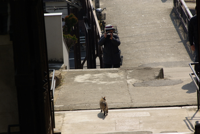 ２月４日　尾道の猫シリーズその３_a0009554_2342831.jpg