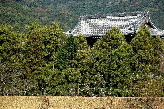 　　根 来 寺　　_b0093754_0583174.jpg