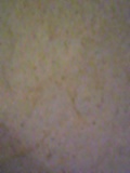 d0007957_22105178.jpg
