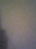 d0007957_22143683.jpg