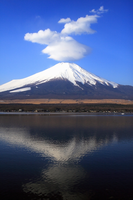 f0105478_135750.jpg