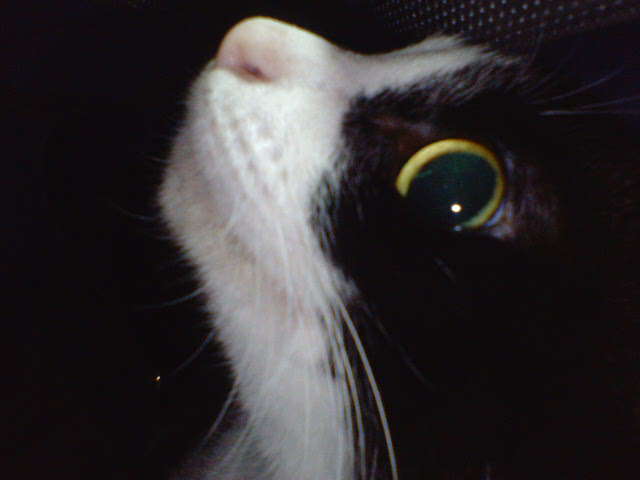 c0107786_15302854.jpg