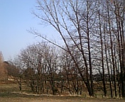 c0095091_1243197.jpg