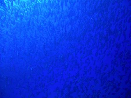 c0097095_17364029.jpg