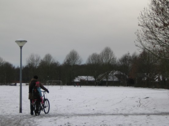 雪 （2007年2月）_c0071305_7211913.jpg