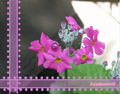 b0014607_22102944.gif