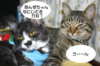 a0041108_21553256.gif