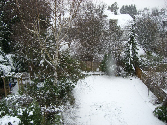 f0077414_6565186.jpg
