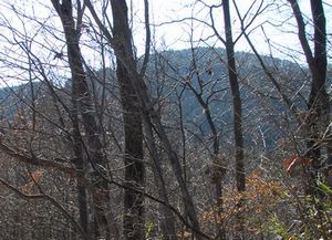c0073016_0143688.jpg