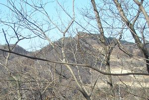 c0073016_2210014.jpg