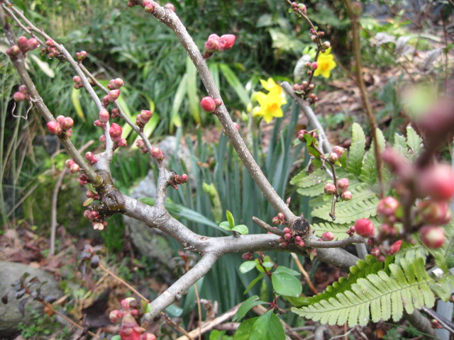f0128316_1022228.jpg