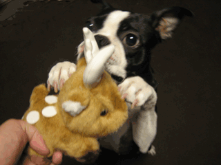 e0080117_21595618.gif