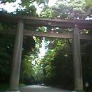 d0085018_1556135.jpg