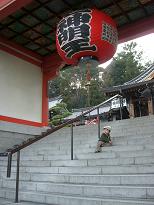 d0071327_0371928.jpg