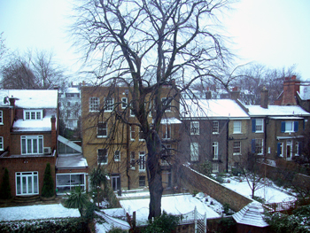 a0015132_8102259.jpg