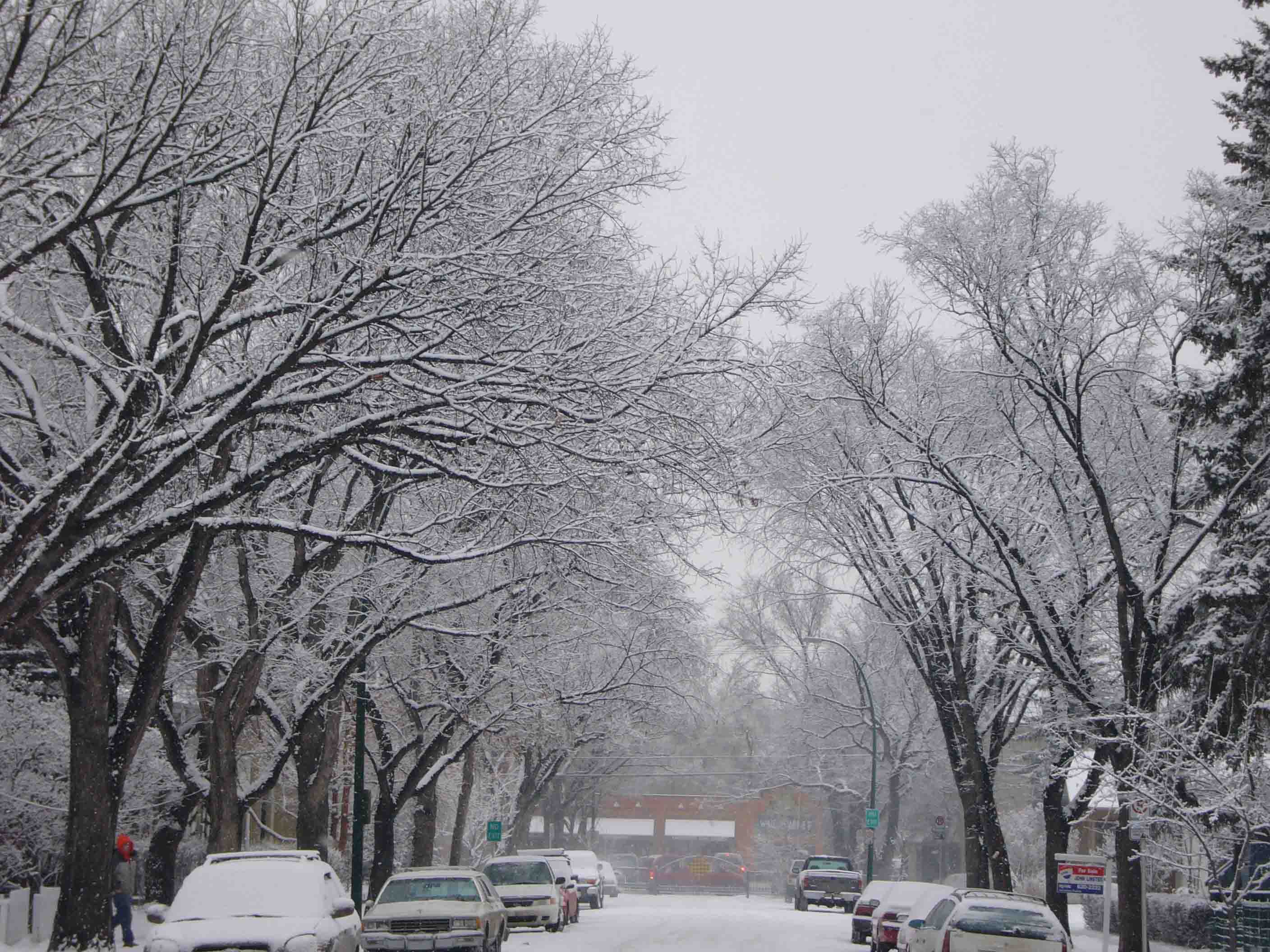 c0077835_148214.jpg