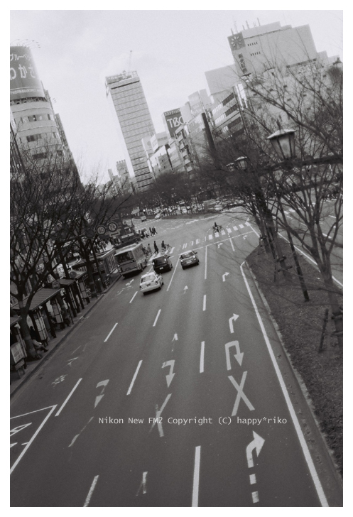 初New FM2　B&W_b0049843_21543096.jpg