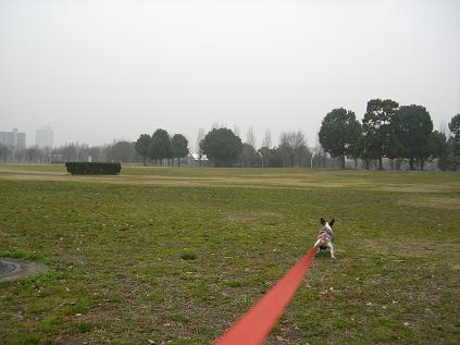 雨上がりの公園_c0113146_1813599.jpg