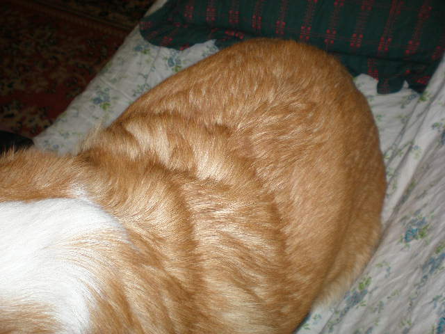 a0085464_21485074.jpg