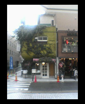 アササン_c0009877_1245579.jpg