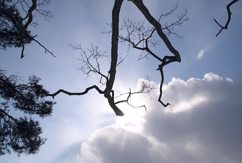 c0112479_8391393.jpg