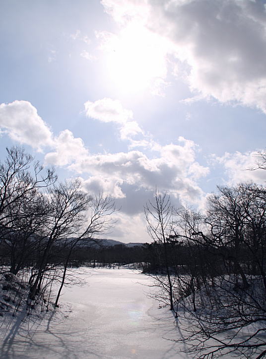 c0112479_8411353.jpg