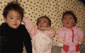 b0076085_0202775.gif