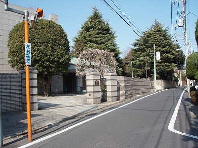 8 代沢の住宅街 今日もお散歩日和