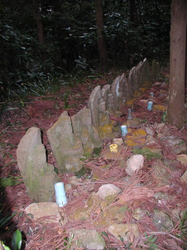 山行　「明神ヶ岳、明星ヶ岳」_e0008887_1639614.jpg