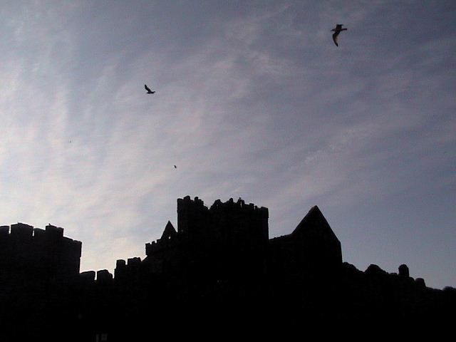 e0003910_211315.jpg