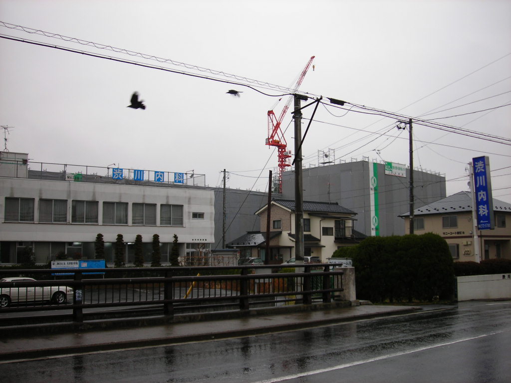 雨の土曜日と東京ゴミ女_a0030217_18512463.jpg