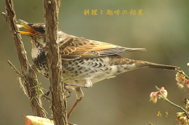 私って綺麗？_b0033423_17211760.jpg