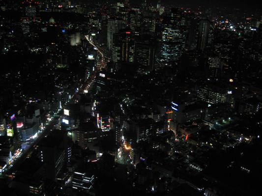 53) ④東京巡り記 「森美術館入り口と展望台」_f0126829_20291690.jpg