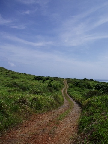 7月7日石垣島明石滞在(12)_c0084257_22555379.jpg