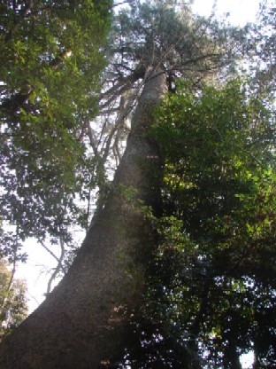 b0061261_02355.jpg