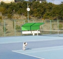 2007年2月10日(土)・・・負け組の星ハルウララとチェス君!!_f0060461_21392275.jpg