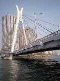 b0081270_13204791.jpg